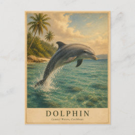 ドルフィン カリブ海 ヴィンテージ ポストカード