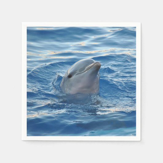 ドルフィン スタンダードカクテルナプキン (正面)