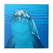 ドルフィン タイル (正面)