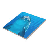 ドルフィン タイル (側面)