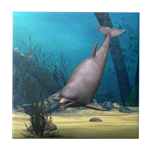 ドルフィン タイル (正面)