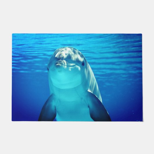 ドルフィン ドアマット (正面)