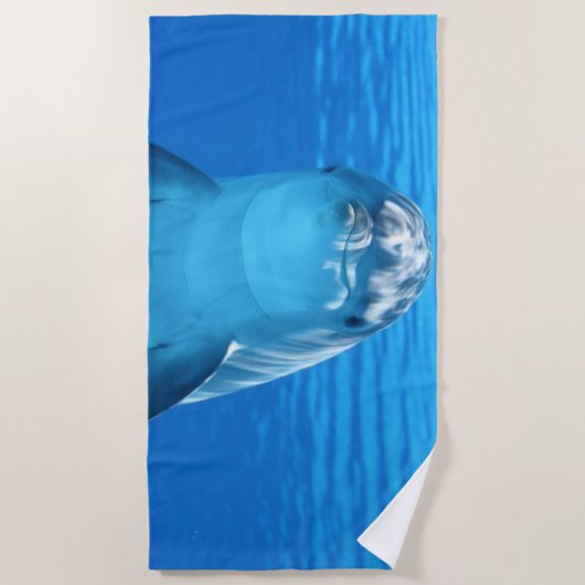 ドルフィン ビーチタオル (正面)