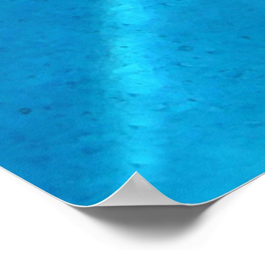 ドルフィン ポスター (角)