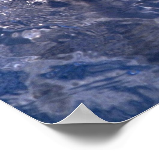 ドルフィン ポスター (角)