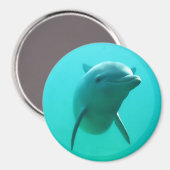 ドルフィン マグネット (正面/裏面)
