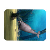 ドルフィン マグネット (横)