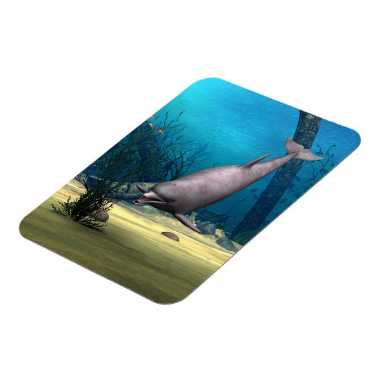 ドルフィン マグネット (左側)