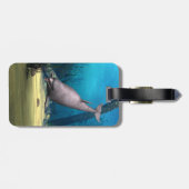 ドルフィン ラゲッジタグ (裏面横)