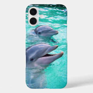 ドルフィン iPhone 16 PLUSケース