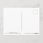 ドルメラー・フードー ポストカード (裏面)