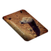 ドルーシラス公園メルカト囲い マグネット (右側)