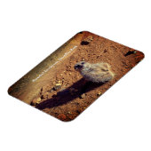 ドルーシラス公園メルカト囲い マグネット (左側)