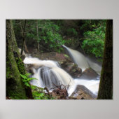 ドレイクスクリーク滝 ポスター (正面)