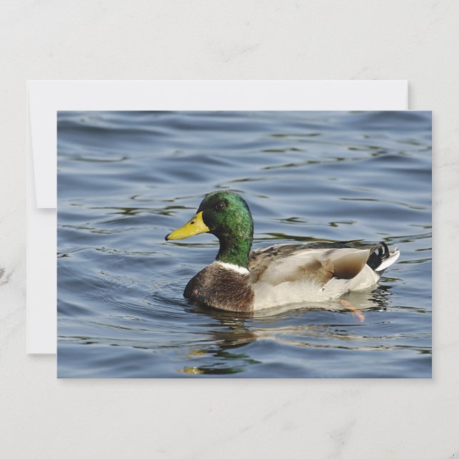 ドレイク (正面)