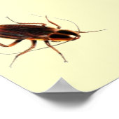 ドレイン来から – ゴキブリの怖いポスター ポスター (角)