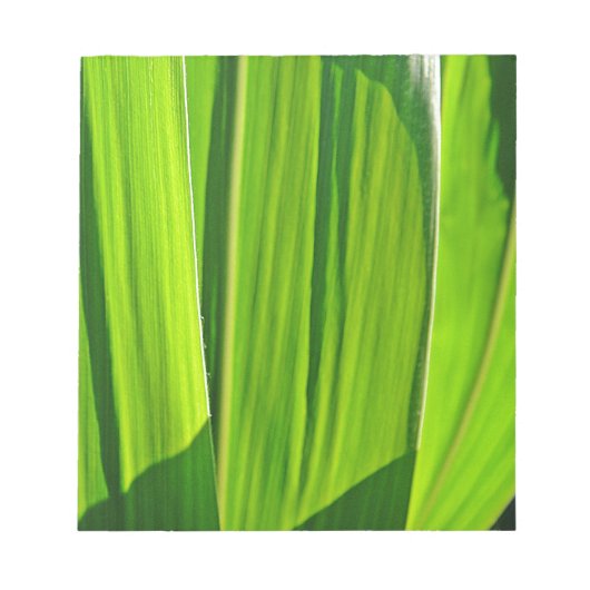 ドレグリューヌマイスブレター ノートパッド (正面)