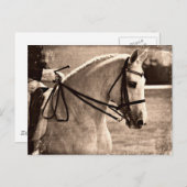 ドレスゲグランジージ ポストカード (正面/裏面)