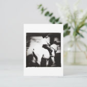 ドレスゲ ポストカード (スタンド正面)