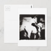 ドレスゲ ポストカード (正面/裏面)