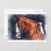 ドレスセージホース ポストカード (正面/裏面)