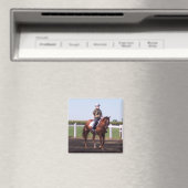 ドレスセージ中にエミリー マグネット (インサイチュ (食洗機))