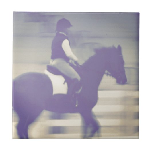 ドレスセージ抽象芸術 タイル (正面)