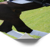 ドレスセージ馬ライダーキャンバスプリント ポスター (角)