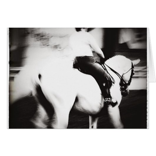 ドレスセージ (正面横)