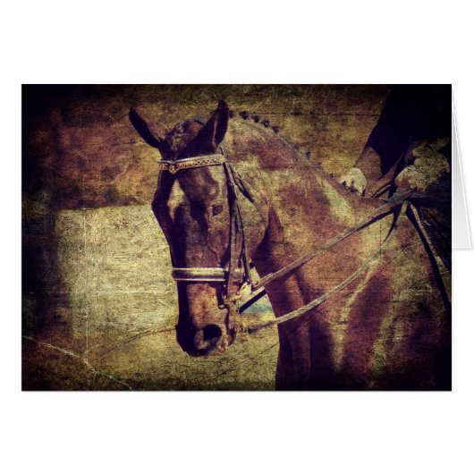 ドレスセージ (正面横)