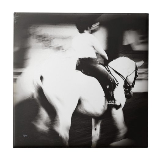 ドレスセージ タイル (正面)