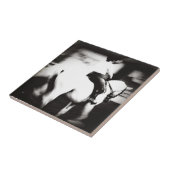 ドレスセージ タイル (側面)