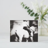 ドレスセージ ポストカード (スタンド正面)