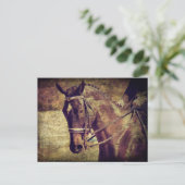 ドレスセージ ポストカード (スタンド正面)