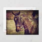 ドレスセージ ポストカード (正面/裏面)