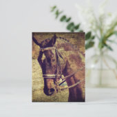 ドレスセージ ポストカード (スタンド正面)