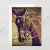 ドレスセージ ポストカード (正面/裏面)