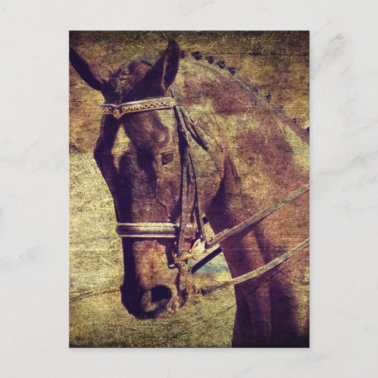 ドレスセージ ポストカード (正面)