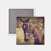 ドレスセージ マグネット (正面/裏面)