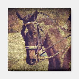 ドレスセージ マグネット