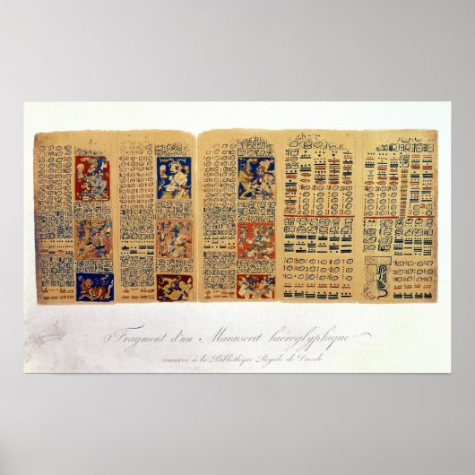 ドレスデン写本の断片のコピー ポスター (正面)