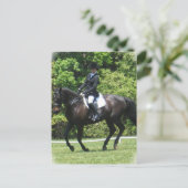 ドレッサージテストはがき ポストカード (スタンド正面)