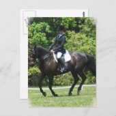 ドレッサージテストはがき ポストカード (正面/裏面)