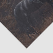 ドレッセージフリシアンスタリオン 薄葉紙 (詳細)