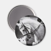 ドレッセージホースブラックアンドホワイト マグネット (正面/裏面)