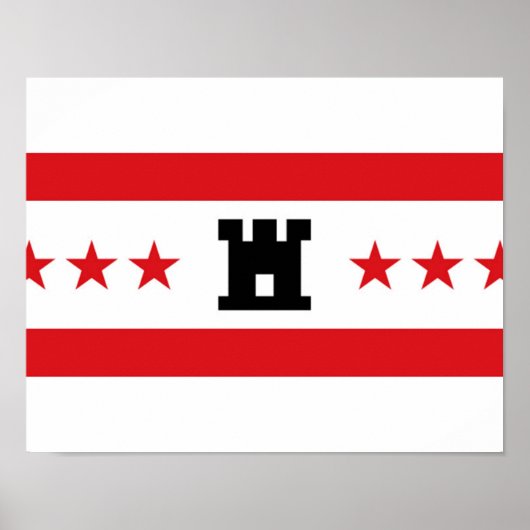 ドレナ国旗 ポスター (正面)