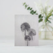 ドレブラット ポストカード (スタンド正面)