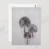 ドレブラット ポストカード (正面/裏面)