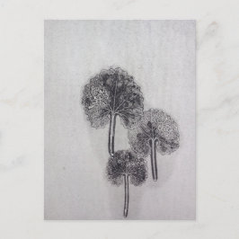 ドレブラット ポストカード