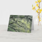 ドレープが掛けられたジョージア州サバンナのライブオークの木 カード (黄色い花)